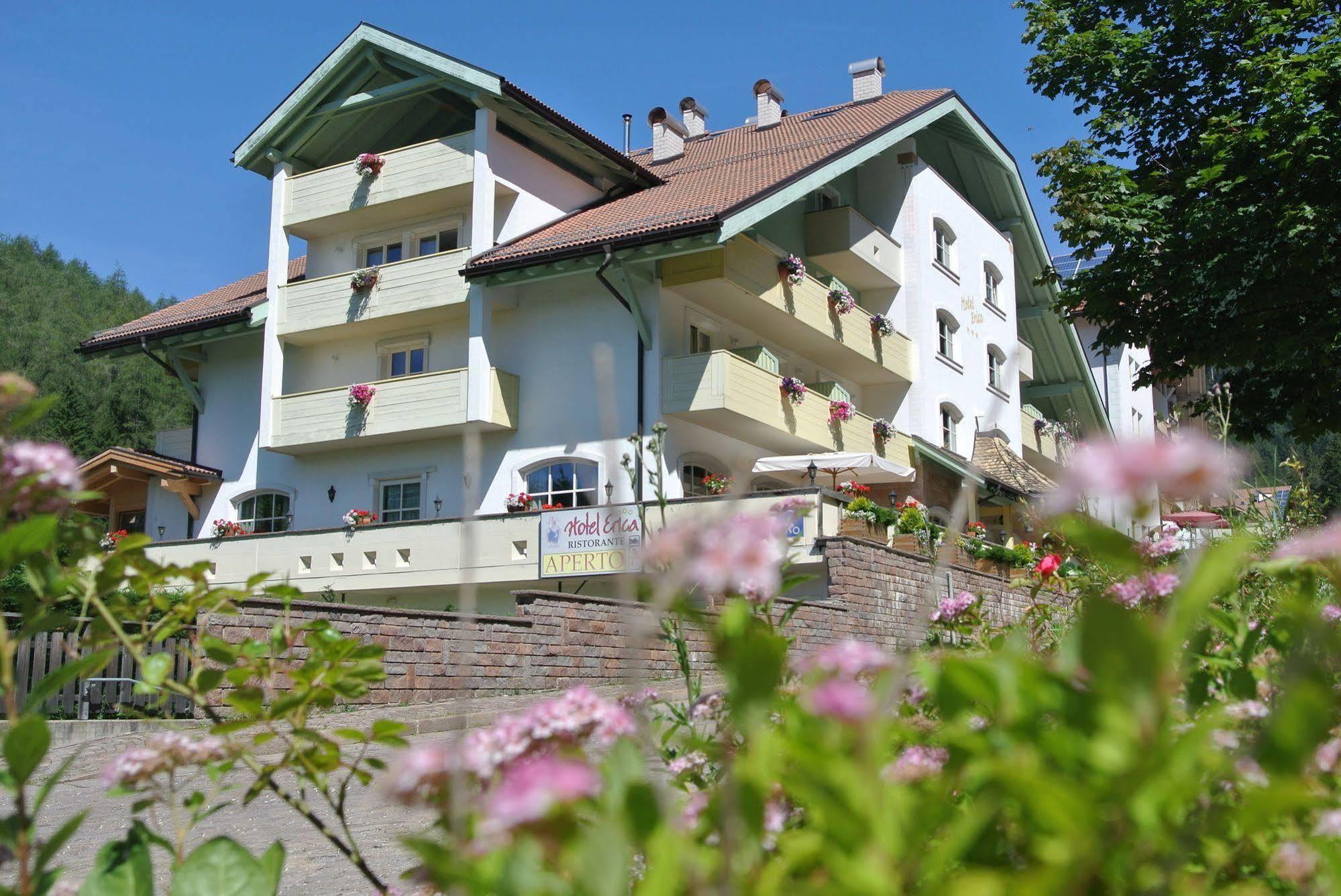Hotel Erica Tesero Exterior photo